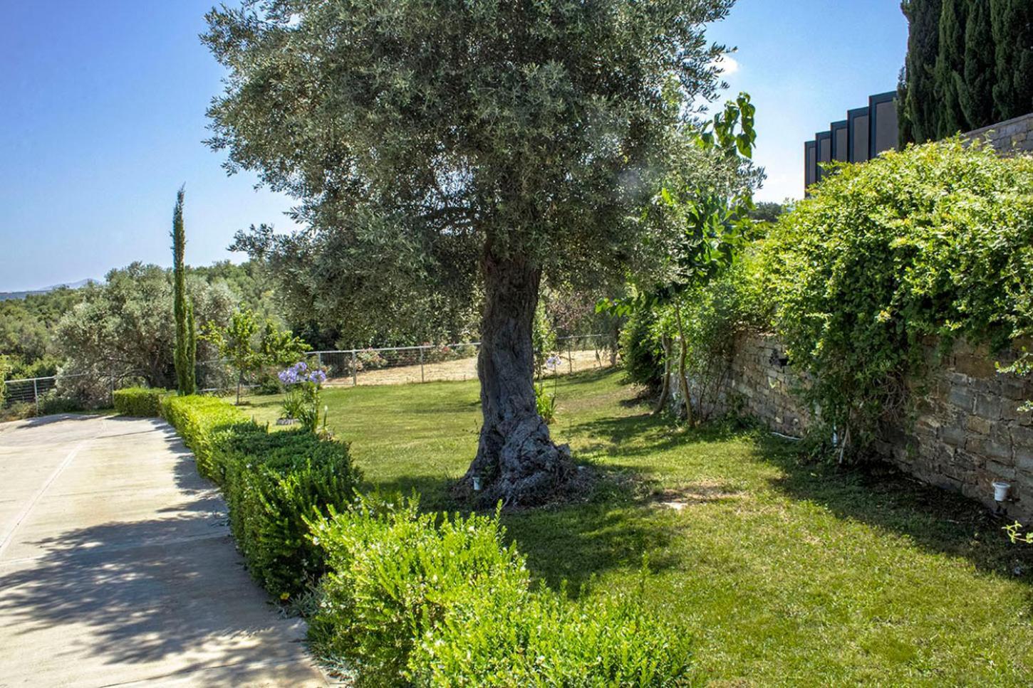 Arion Krini Villa Amnatos Екстер'єр фото